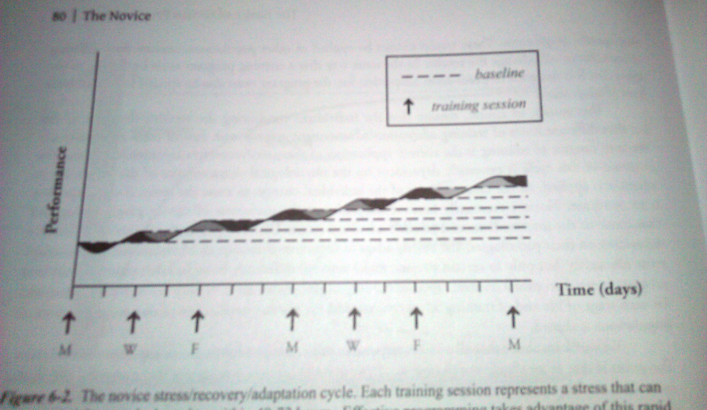 You can see that the novice goes through a full stress-recovery-adaptation cycle between each workout. Photo: Practical Programming 3rd Ed, Mark Rippetoe, 2014.